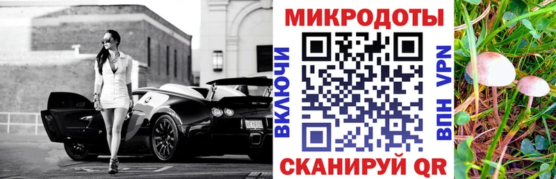 Псилоцибиновые грибы Psilocybine cubensis Спасск-Рязанский